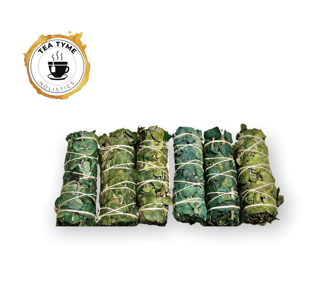Eucalyptus Smudge Stick